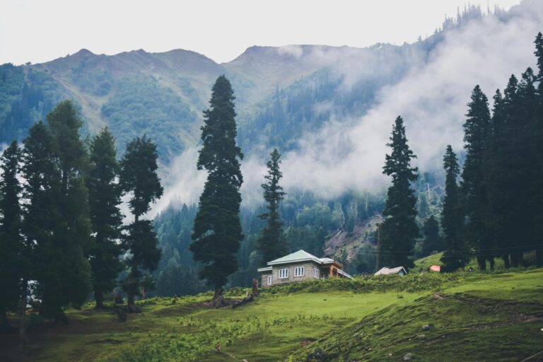 3-Day Dream Escape: Unveiling Kashmir’s Majestic Beauty